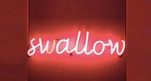 swallow-neon