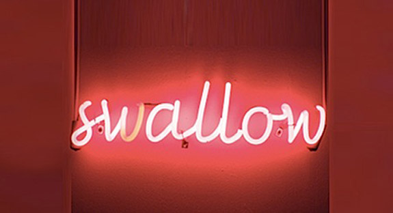 swallow-neon