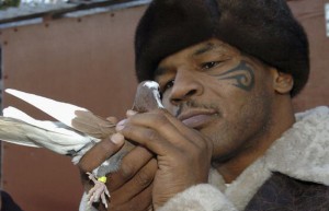 Mike Tyson And Pigeon