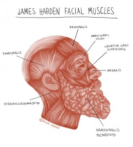 James Harden Illustrated Medical Illustration