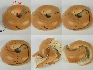 Mathematically Correct Way Slice Bagel