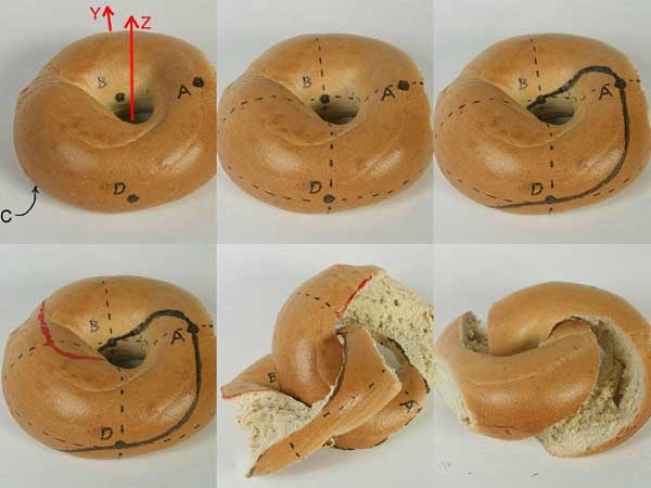 Mathematically Correct Way Slice Bagel