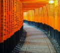 Kyoto Japan Torii Gates
