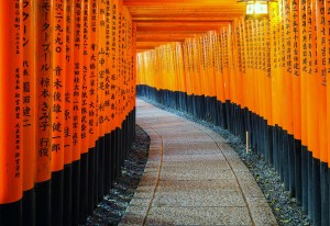 Kyoto Japan Torii Gates