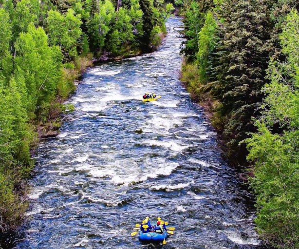 Whitewater Rafter Colorado Avarafting